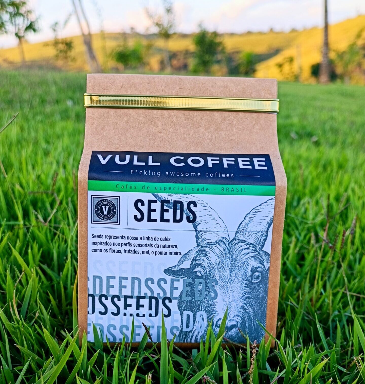 Seeds - Ed. 12