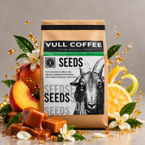 Seeds - Ed. 12